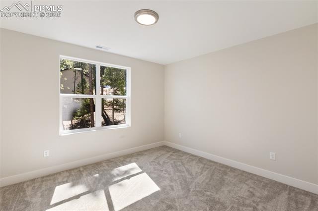 MLS Image for 671  Bradford  ,Woodland Park, Colorado