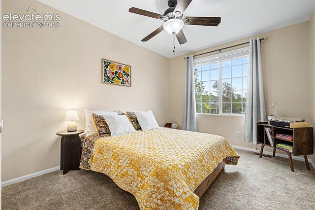 MLS Image for 7240  McEwan  ,Colorado Springs, Colorado
