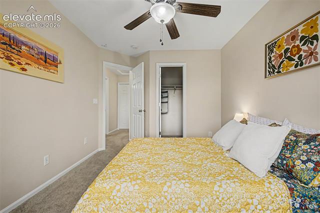 MLS Image for 7240  McEwan  ,Colorado Springs, Colorado