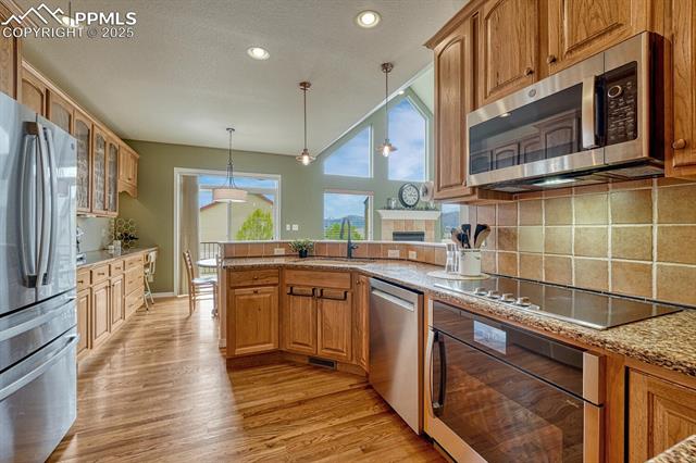 MLS Image for 261  Saber Creek  ,Monument, Colorado