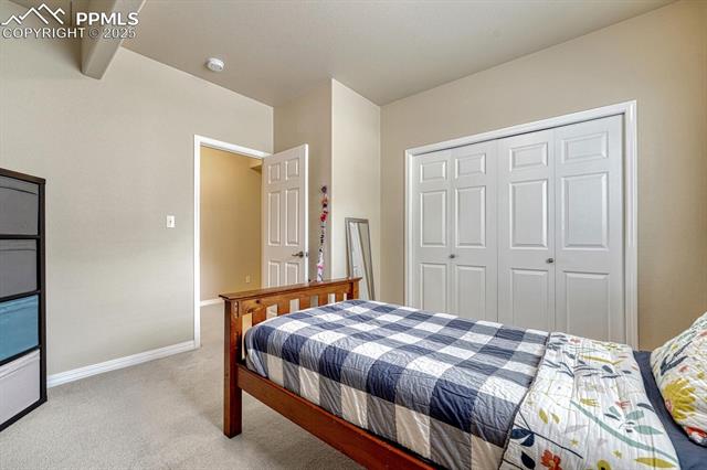 MLS Image for 261  Saber Creek  ,Monument, Colorado