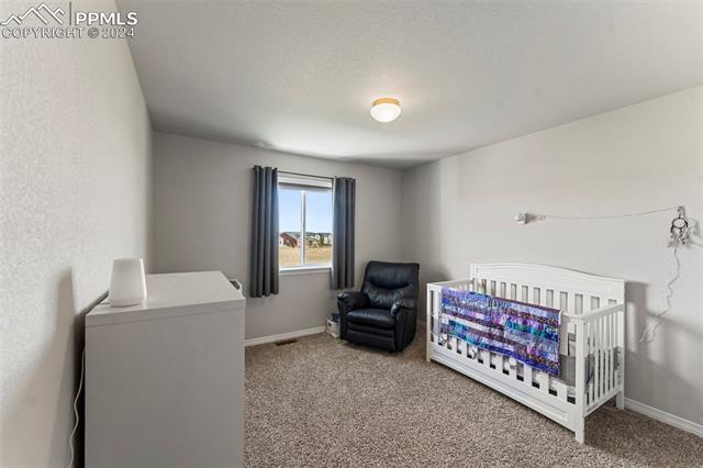 MLS Image for 10315  Evening Vista  ,Peyton, Colorado