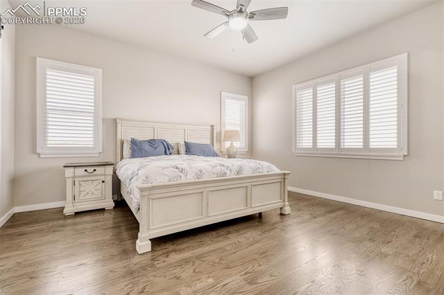 MLS Image for 7621  Truchas  ,Peyton, Colorado