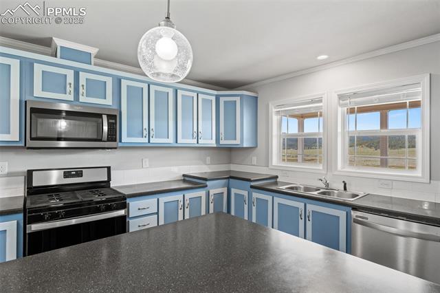 MLS Image for 567  High Pasture  ,Florissant, Colorado