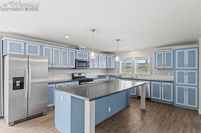 MLS Image for 567  High Pasture  ,Florissant, Colorado