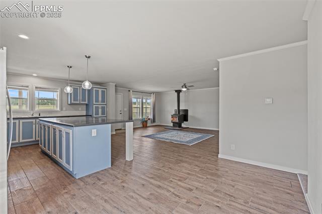 MLS Image for 567  High Pasture  ,Florissant, Colorado