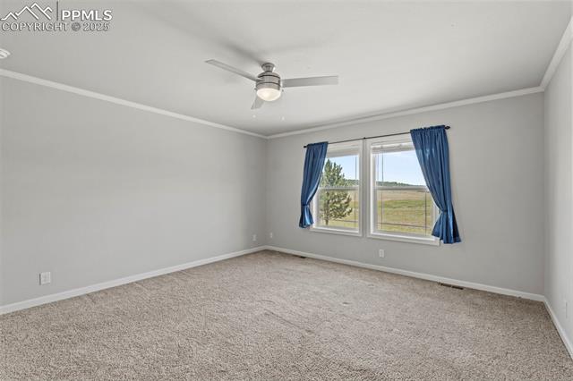 MLS Image for 567  High Pasture  ,Florissant, Colorado