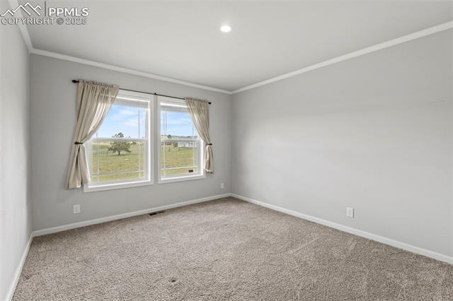 MLS Image for 567  High Pasture  ,Florissant, Colorado