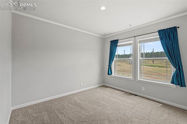 MLS Image for 567  High Pasture  ,Florissant, Colorado