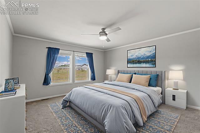 MLS Image for 567  High Pasture  ,Florissant, Colorado