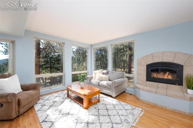 MLS Image for 320  Hilton  ,Manitou Springs, Colorado