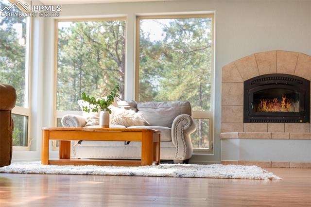 MLS Image for 320  Hilton  ,Manitou Springs, Colorado