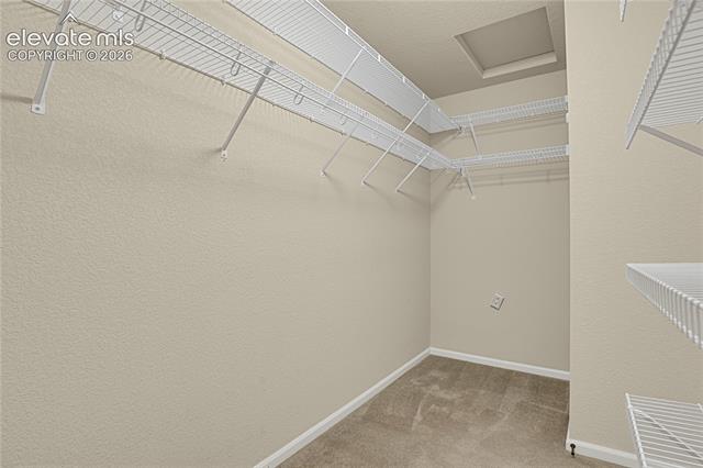 MLS Image for 6651  Big Leaf  ,Colorado Springs, Colorado