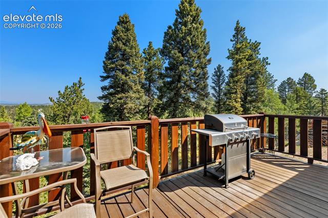 MLS Image for 69  Cody Creek  ,Divide, Colorado