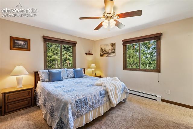 MLS Image for 69  Cody Creek  ,Divide, Colorado