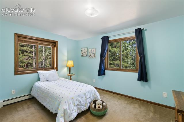 MLS Image for 69  Cody Creek  ,Divide, Colorado