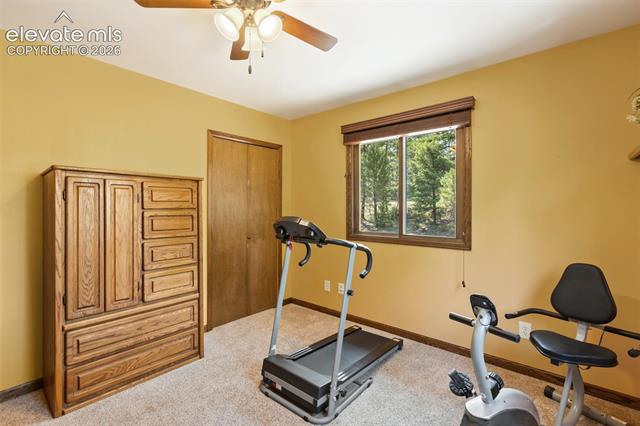 MLS Image for 69  Cody Creek  ,Divide, Colorado