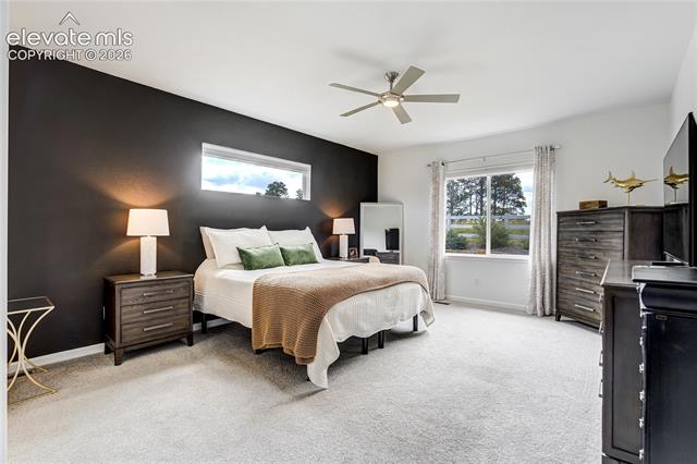 MLS Image for 11824  Alydar  ,Colorado Springs, Colorado