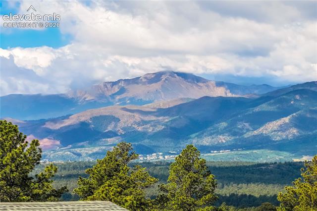 MLS Image for 11824  Alydar  ,Colorado Springs, Colorado