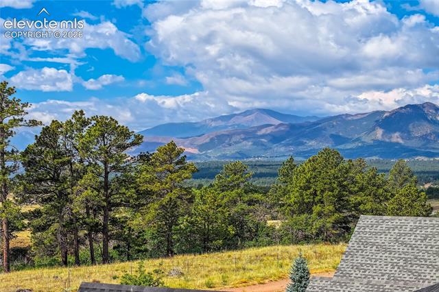 MLS Image for 11824  Alydar  ,Colorado Springs, Colorado