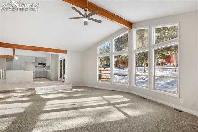 MLS Image for 33  Stillforest  ,Woodland Park, Colorado