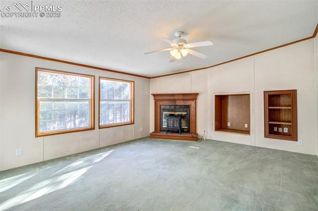 MLS Image for 2610  Pikes Peak  ,Florissant, Colorado