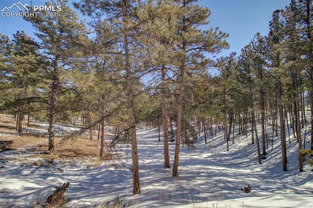 MLS Image for 2610  Pikes Peak  ,Florissant, Colorado