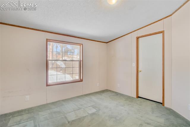 MLS Image for 2610  Pikes Peak  ,Florissant, Colorado