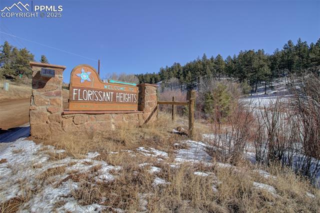 MLS Image for 2610  Pikes Peak  ,Florissant, Colorado