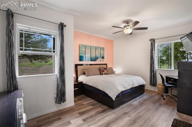 MLS Image for 2413  County Road 403  ,Florissant, Colorado