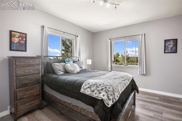 MLS Image for 2413  County Road 403  ,Florissant, Colorado