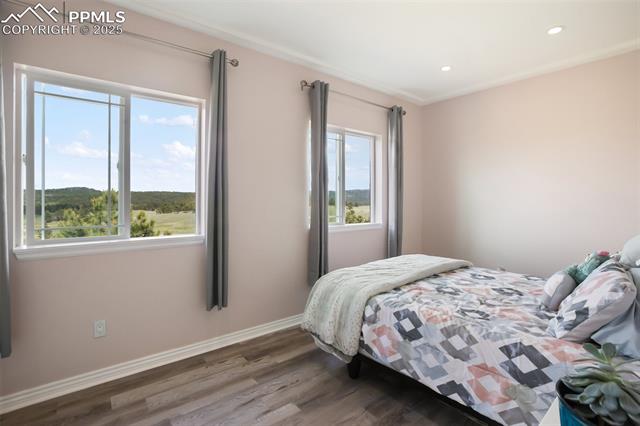 MLS Image for 2413  County Road 403  ,Florissant, Colorado