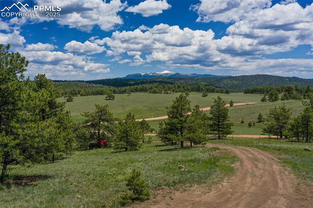 MLS Image for 2413  County Road 403  ,Florissant, Colorado