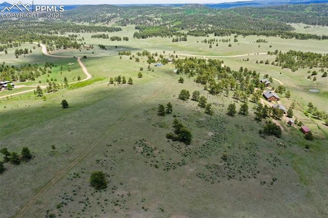 MLS Image for 2413  County Road 403  ,Florissant, Colorado