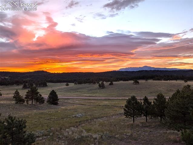 MLS Image for 2413  County Road 403  ,Florissant, Colorado