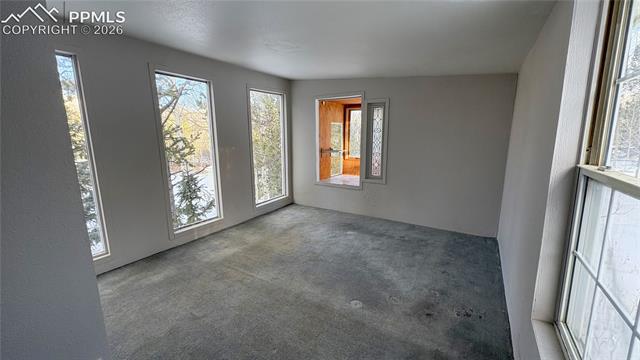 MLS Image for 10104 S Highway 67  ,Divide, Colorado