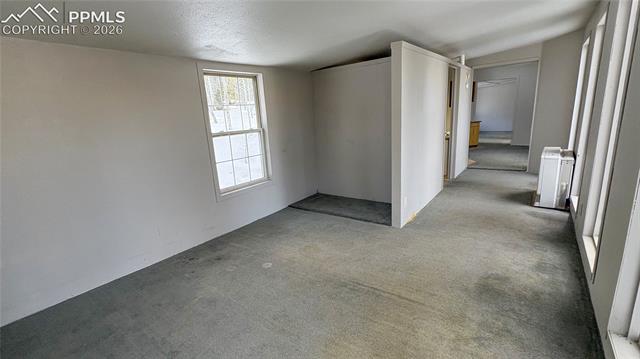 MLS Image for 10104 S Highway 67  ,Divide, Colorado