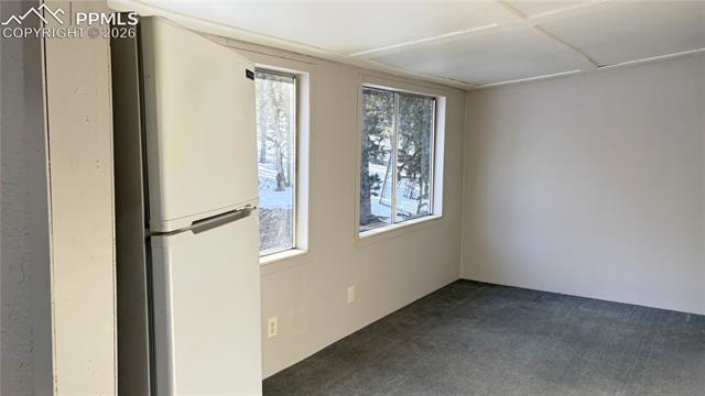 MLS Image for 10104 S Highway 67  ,Divide, Colorado