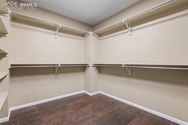MLS Image for 8635  Meadow Tree  ,Colorado Springs, Colorado