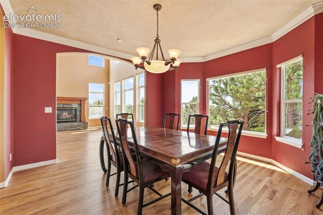 MLS Image for 15150  Jessie  ,Colorado Springs, Colorado