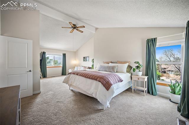 MLS Image for 6270  Galway  ,Colorado Springs, Colorado