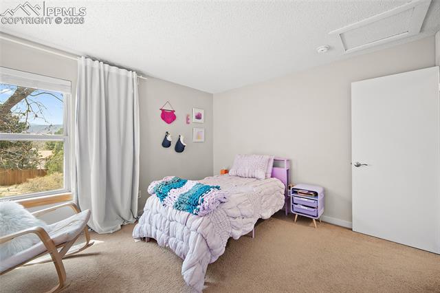 MLS Image for 6270  Galway  ,Colorado Springs, Colorado