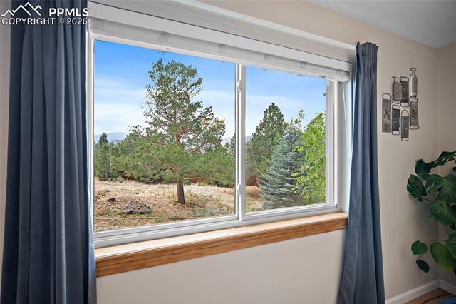 MLS Image for 6270  Galway  ,Colorado Springs, Colorado