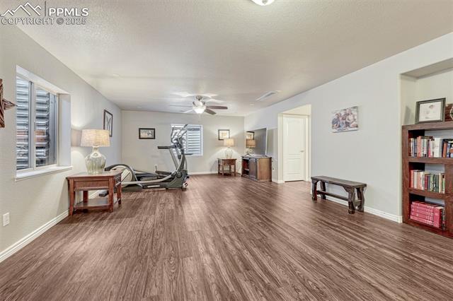 MLS Image for 2721  Crooked Vine  ,Colorado Springs, Colorado