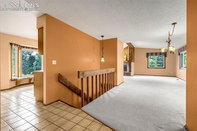 MLS Image for 4815  Alteza  ,Colorado Springs, Colorado