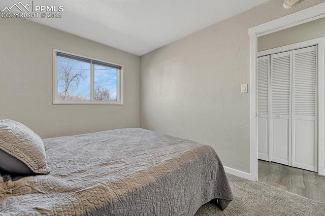 MLS Image for 103  Easy  ,Colorado Springs, Colorado