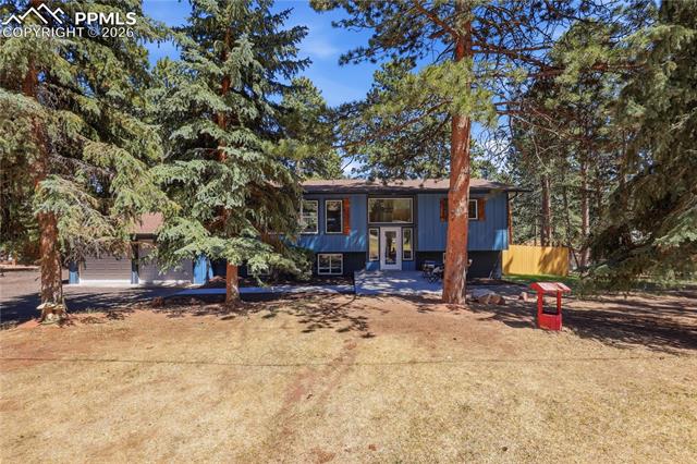 MLS Image for 307 S Evergreen  ,Woodland Park, Colorado