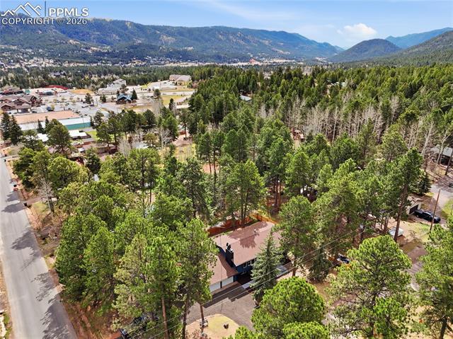 MLS Image for 307 S Evergreen  ,Woodland Park, Colorado