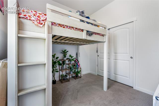 MLS Image for 12315  Candoni  ,Colorado Springs, Colorado