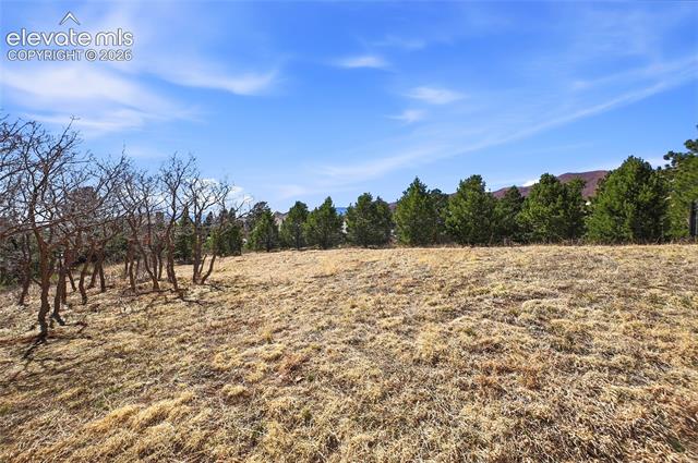 MLS Image for 2615  Tamora  ,Colorado Springs, Colorado